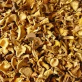 Dried Cantharellus Cibarius / Chanterelle / Girolle / Echter Pfifferling / Пачи Крак