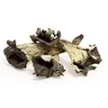 Dried Craterellus cornucopioides / Horn of plenty / Trompette des morts / Totentrompete / Тръбенка