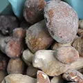 Frozen Whole Boletus / Porcini / Cep / Cepes