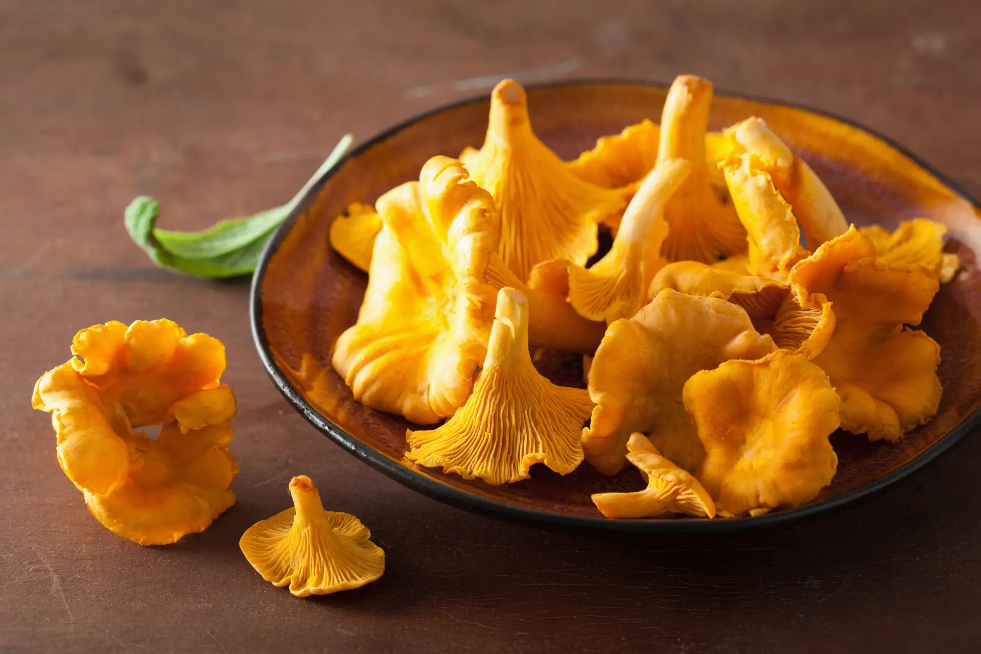 Chanterelle